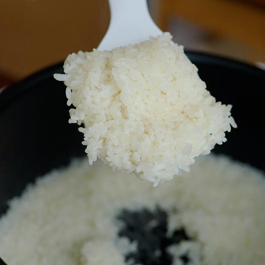 【蓝宝双盖电压力锅4L】是压力锅也是汤锅  煮饭/煲汤都可以~ 商品图12