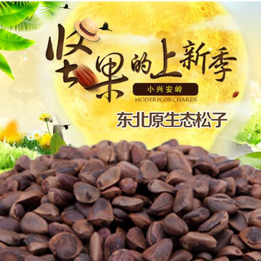 心选丨小兴安岭开口松子500/袋（配开口钳）休闲食品坚果零食 商品图0