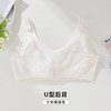 2025少女文胸DYW5502 商品缩略图5