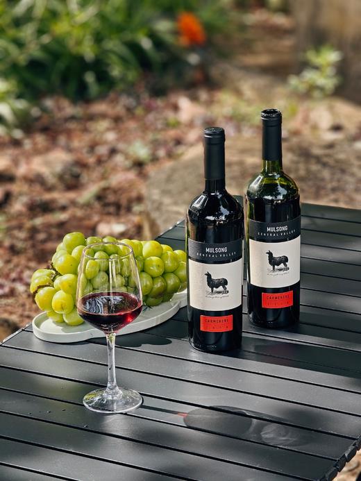 11月7日晚20点【莫松中央山谷佳美娜干红葡萄酒】内部专属福利帮朋友清仓一批红酒，超高性价比，懂红酒的一喝就知道，绝对超值2020年10月份【原瓶进口】智利；13%750ml/瓶整箱6支 商品图0