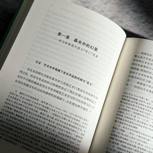 浪漫主义音乐与19世纪欧洲政治 精装 伍维曦 音乐评论文集 音乐政治学 商品图5