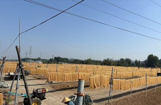 （无添加）沂蒙山非遗古法农家纯红薯粉15.8元1袋3斤装，周六到 商品图2