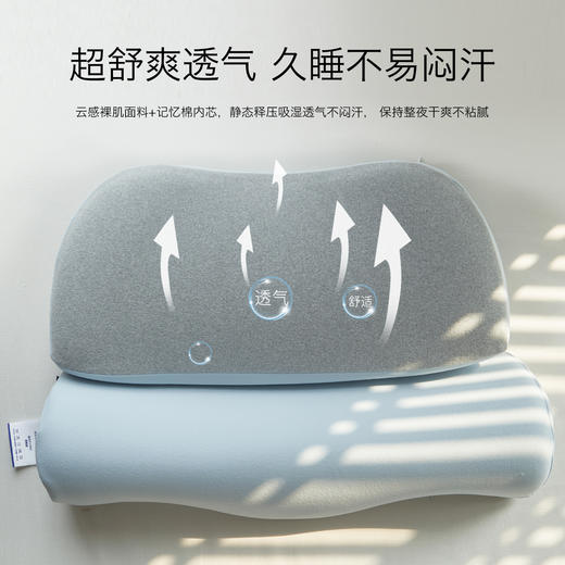 全新升级【告别”越睡越累” 颈!肩!脊! 一夜回血】六块工学分区慢回弹零压深睡枕（秋冬德绒款） 商品图2