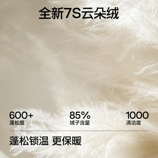 SIINSIIN立领羽绒服2025冬季新款轻薄女士加厚保暖面包服外套 商品图1