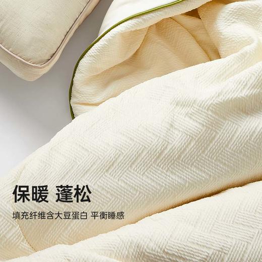 洁丽雅自在熊猫豆奶被蓬松冬被被芯保暖春秋被家庭双人被宿舍被 商品图4