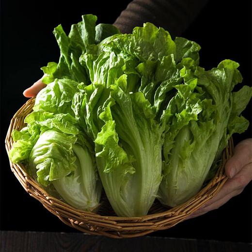 放心奶油生菜 约250g/袋 安全安心可追溯 伊藤自有品牌 商品图1