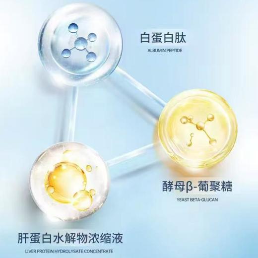 【私域产品】佰倍优基速得白蛋白肽饮品中老年术后放化疗营养品基速得口服液50ml*2瓶 商品图3