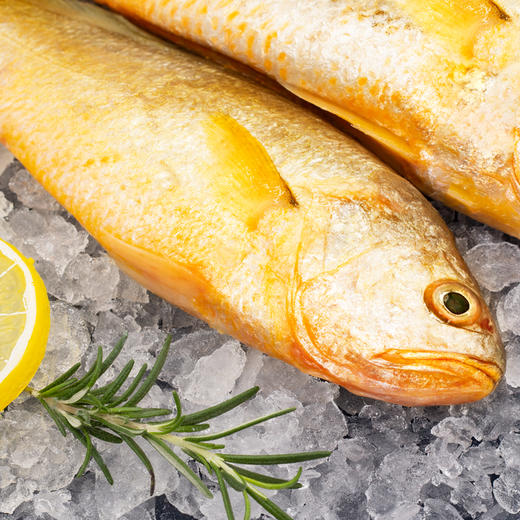 【润荇渔市200-100】优选国产海捕小黄鱼 300g/袋  鲜捕加工口感细腻 商品图3