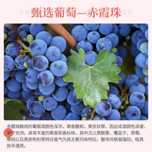【河北农垦】斯洛伐克白堡系列赤霞珠干红葡萄酒750ml 商品图3
