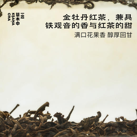 桃夭·金牡丹红茶 | 功夫口粮系列 | 100g原叶 | 红茶类 商品图1