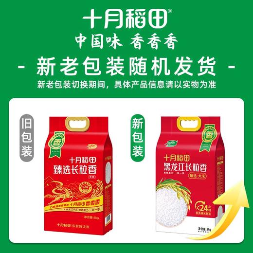 25年新米【店长推荐】臻选长粒香米10斤 商品图1