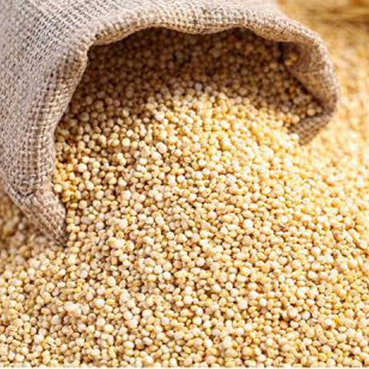 【青海优品】青藏部落500g白藜麦米 商品图2