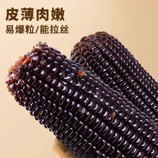 小园玉米*黑金糯玉米8穗/箱 商品图1