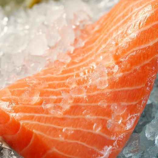 【润荇渔市200-100】进口新西兰帝王鲑冷冻鱼段500g/袋 深海高蛋白鱼油能量补充 商品图4