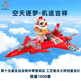 【全运会官方特许产品】歼20S 战机护运+ 机送吉祥飞机模型   送喜洋洋乐融融玩偶【第十五届全运会特许零售商品 工艺美术大师创意设计】