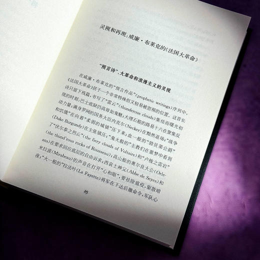 地图在动 现代诗的源流 精装 王璞 现代诗 新诗史 现代诗歌批评 商品图9