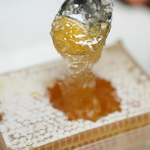 【双十一活动：买3斤 送2袋人参豆浆粉】长白山原始森林蜂巢蜜 商品图1