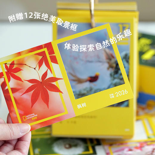 【童趣】美国国家地理万物可爱 2026日历 商品图5