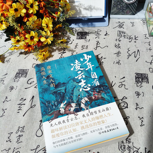 少年自有凌云志：唐宋诗人的高能人生 大圣 著 商品图1