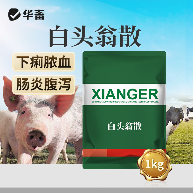 华畜白头翁散1kg  肠炎腹泻 凉血止痢 严选中药材 效果更好 禽畜通用黄白痢中药