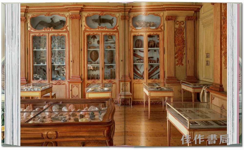 listri_cabinet_of_curiosities_40_int_open001_362_363_40771_2211181623_id_1409229.jpg