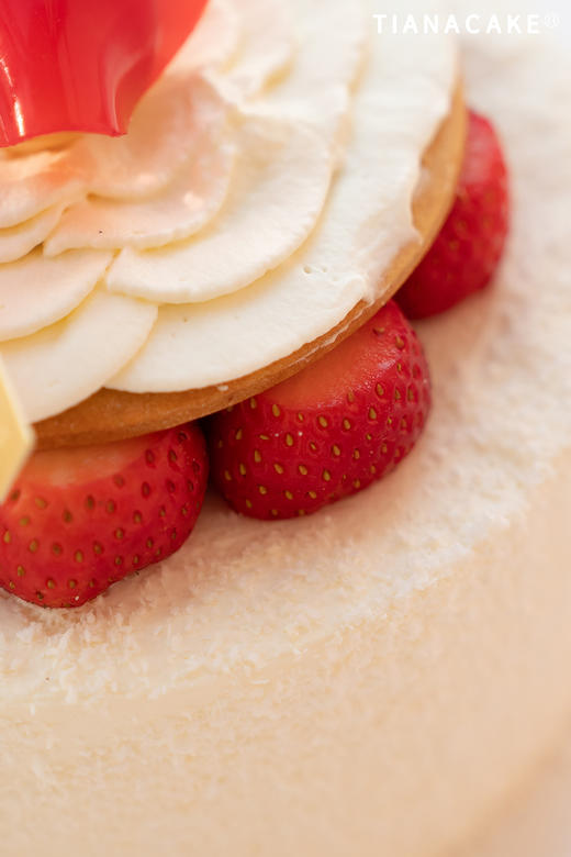 🍓【草莓椰子糖】 商品图12