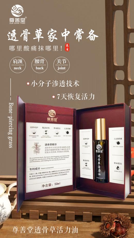 透骨草活力油50ml 商品图1
