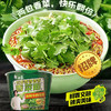 白象桶装方便面 老坛酸菜牛肉面/老母鸡汤面/麻辣香锅牛肉面面/香菜面 商品缩略图1