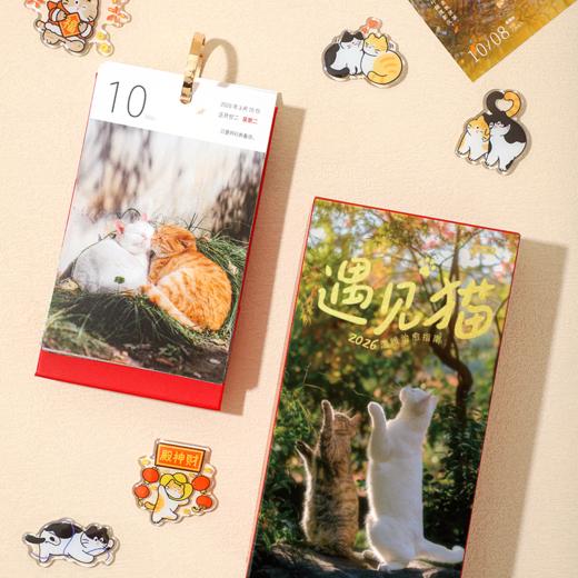 【2026日历】遇见猫·2026猫日历 商品图2