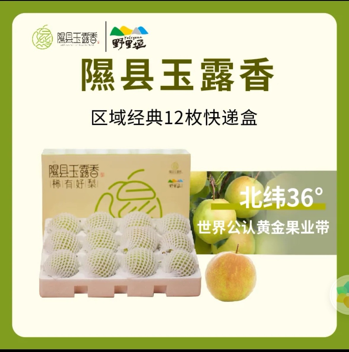 山西 隰县玉露香梨 6.5斤12颗      甜脆无渣皮薄肉厚 当季水果脆甜无渣