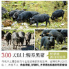璞匠葱香黑猪油食用油家用红葱头猪油荤油拌面拌饭拌粉炒菜动物油 商品缩略图4