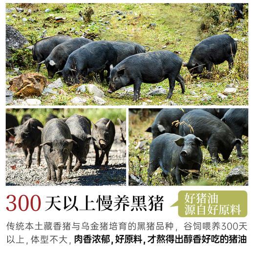 璞匠葱香黑猪油食用油家用红葱头猪油荤油拌面拌饭拌粉炒菜动物油 商品图4