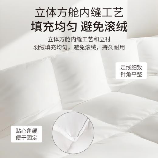 笙观相沐白鹅绒羽绒被 ，95白鹅绒填充，高蓬饱满，轻盈保暖【G】 商品图4