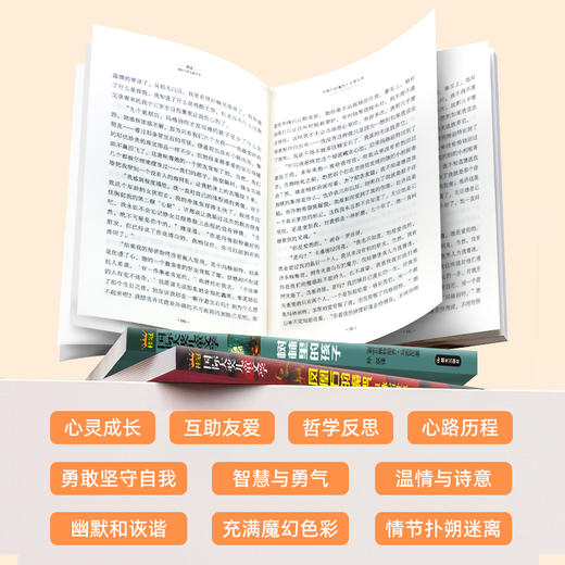 【礼盒装】桂冠“国际大奖儿童文学”系列  （全10册）每一本都有大奖在身  激发孩子独立思考能力 商品图10