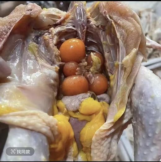皖南土鸡黄油老母鸡2只  散养土鸡 肉质紧实 商品图5