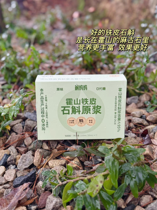 【神农本草经鉴定：强阴圣品】【滋阴生津的 霍山铁皮石斛原浆】【用石斛枫斗加工做的石斛原浆】石头上的铁皮石斛  5年慢生长 1袋=15根石斛鲜条 五大0添加（0蔗糖、0香精、0脂肪、0增稠、0防腐剂）） 商品图2