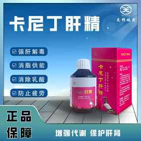 【卡尼丁肝精】强肝解毒 消脂供能 清除乳酸 防止疲劳（先锋）