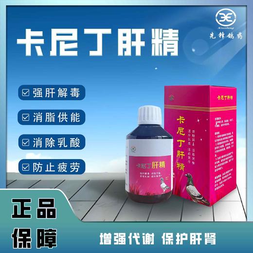 【卡尼丁肝精】强肝解毒 消脂供能 清除乳酸 防止疲劳（先锋） 商品图0