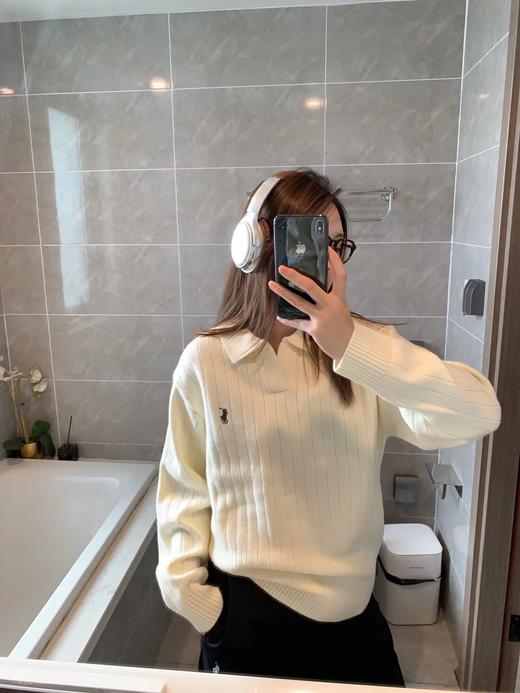 D110627精典老钱风复古Polo领针织衫毛衣女款 商品图1