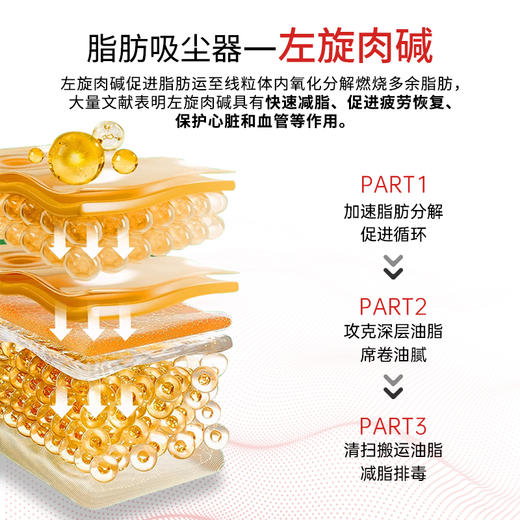 EZZ佛手柑片阻隔糖碳油体重管理助代谢60粒 hr13 商品图2