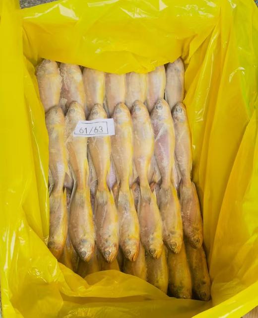 【冻品】精品二小黄花鱼 去箱重量5.5斤上下 整箱大概60条上下 商品图0