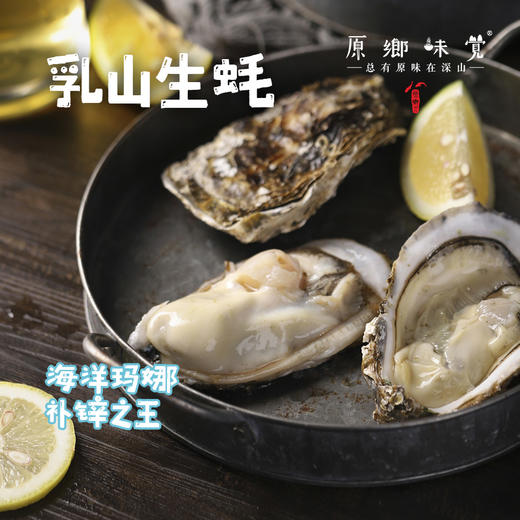 乳山深海生蚝（基地直发-顺丰包邮） | 多种规格，来自乳山，生产者：余锦涛【合作生产，公平贸易】 商品图0