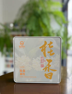 伴山来/2025桂花红茶/红毛峰 5g*15/罐 