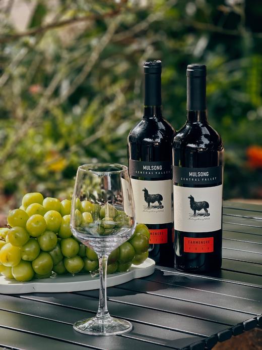 11月7日晚20点【莫松中央山谷佳美娜干红葡萄酒】内部专属福利帮朋友清仓一批红酒，超高性价比，懂红酒的一喝就知道，绝对超值2020年10月份【原瓶进口】智利；13%750ml/瓶整箱6支 商品图2