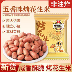 旭东烤花生米五香味独立包装小袋子15g*30小包休闲零食炒货