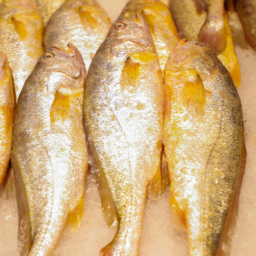 【润荇渔市200-100】优选国产海捕小黄鱼 300g/袋  鲜捕加工口感细腻 商品图4