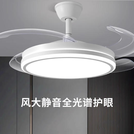 思坦库stakunft  全光谱护眼风扇灯餐厅吊扇灯 STK-50-01 商品图1