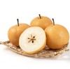 【CHUAN】正宗莱阳冰糖秋月梨【精品果】4.5-5斤精品礼盒 顺丰快递6枚 商品缩略图0