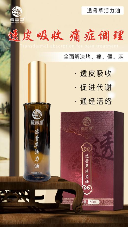 透骨草活力油50ml 商品图2