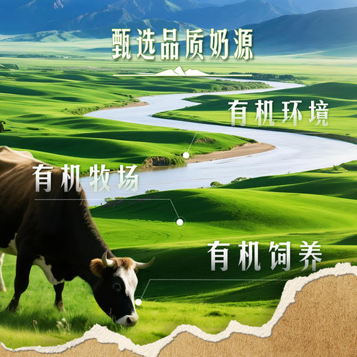 爵品有机纯牛奶250ml×10盒 商品图2